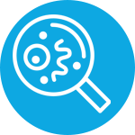an icon of a magnifying glass zooming in on a cell